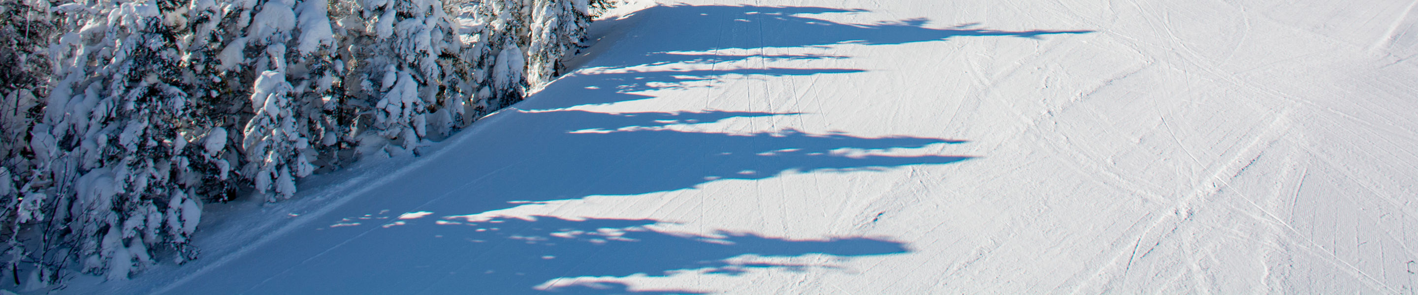 Snow covered trees and chairlift at Okemo