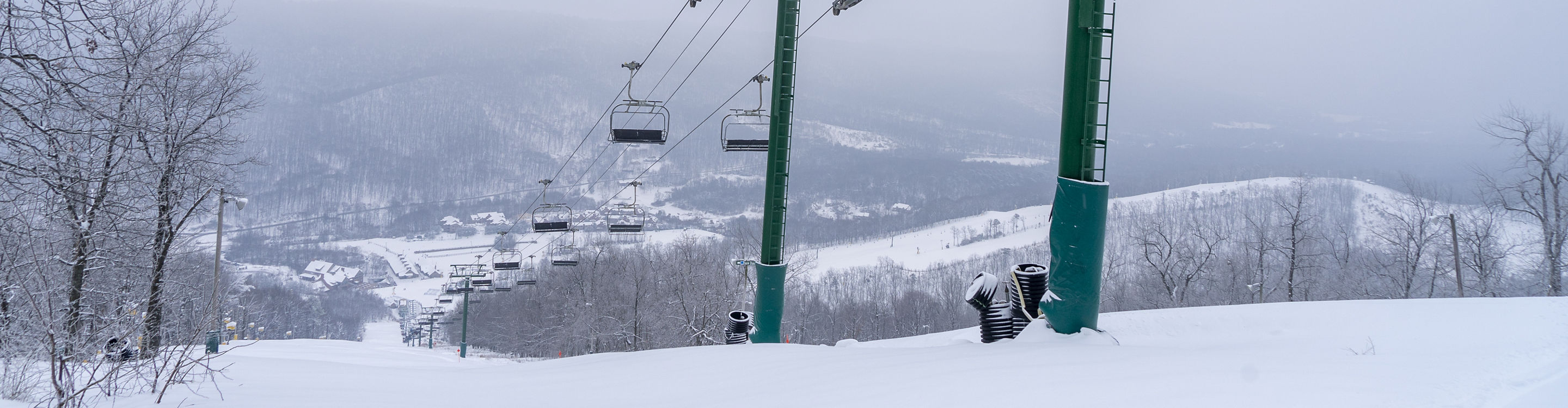 Whitetail Express Quad