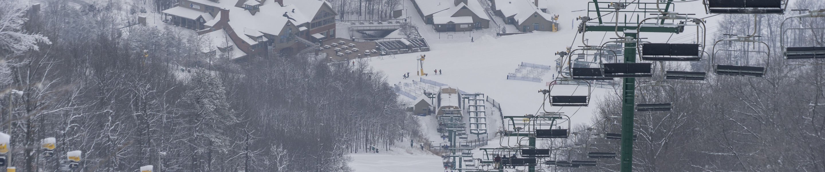 Looking Down Limelight