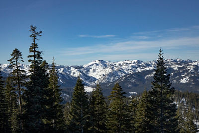 View From Backside of Northstar Through Trees