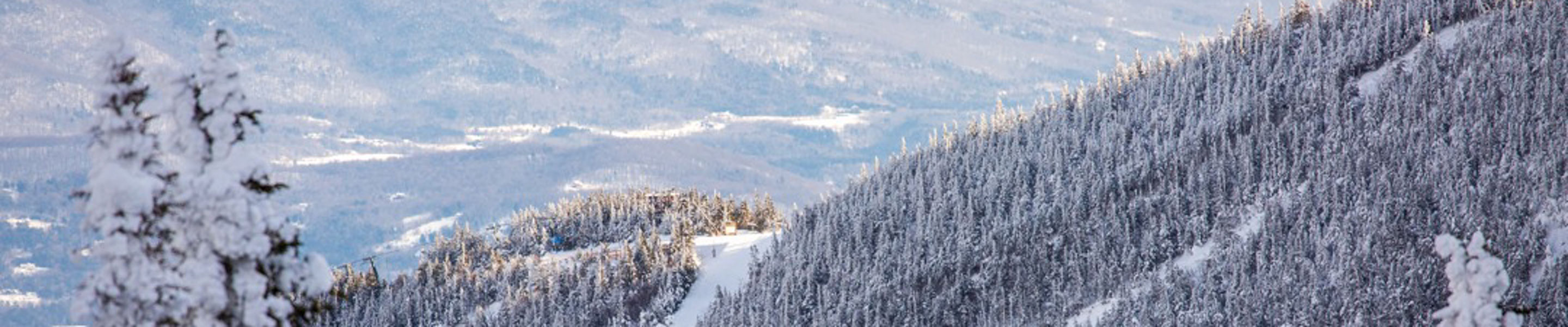 Scenic view of Stowe during the winter months