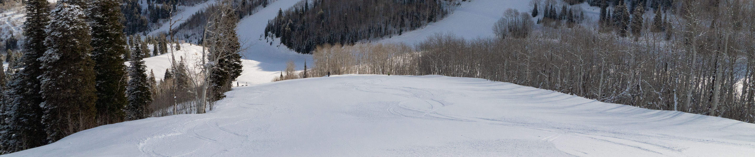 View from Crescent of PC