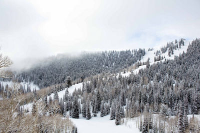 Views from Pioneer at Park City