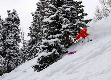 Woman Skiing Powder at Park City