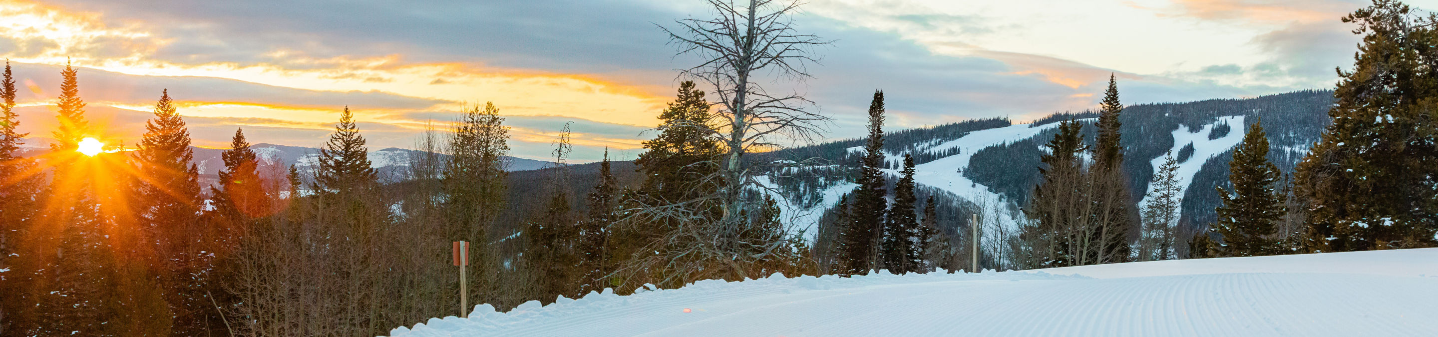 Panoramic view at Beaver Creek