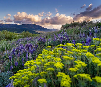 Northstar Scenic