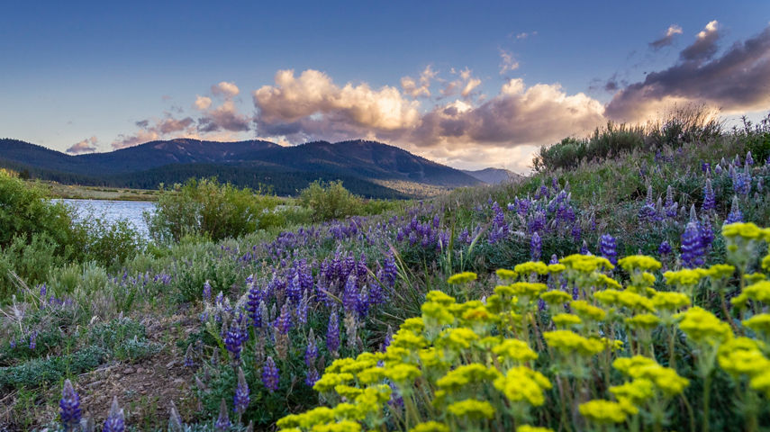 Northstar Scenic