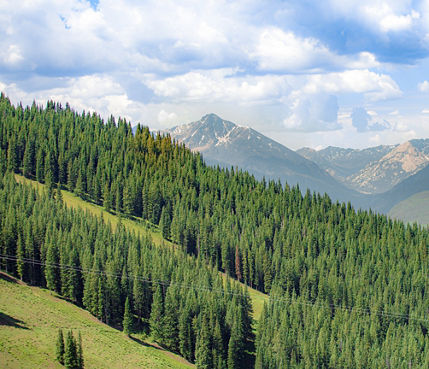 View Over Lionshead in Vail, CO