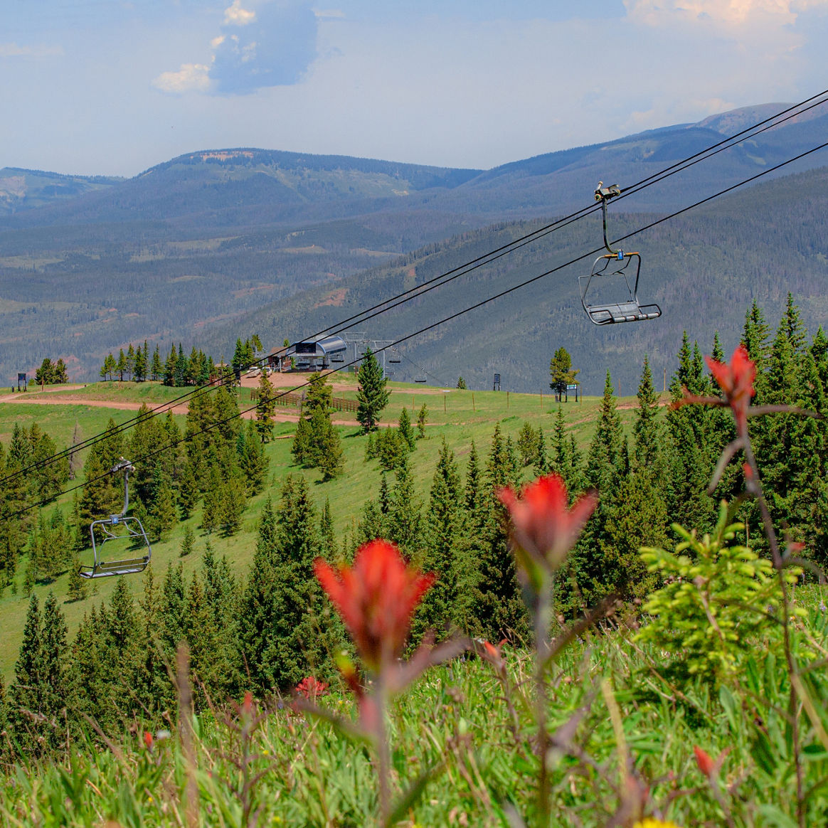 Spring Time in the Back Bowls of Vail, CO