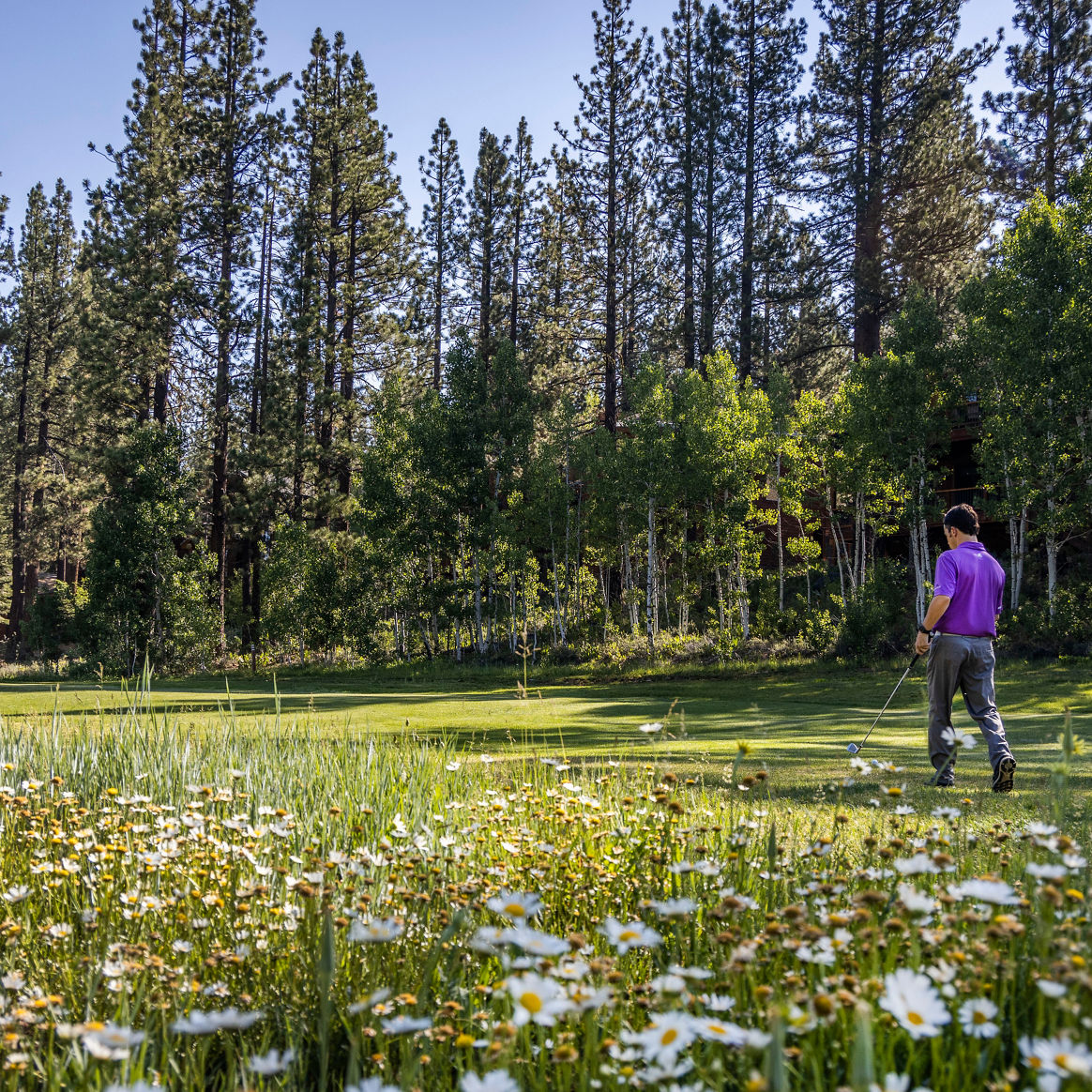 Golf Course Photos at Northstar Resort