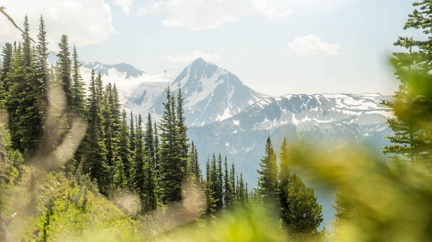 Whistler Summer 2021