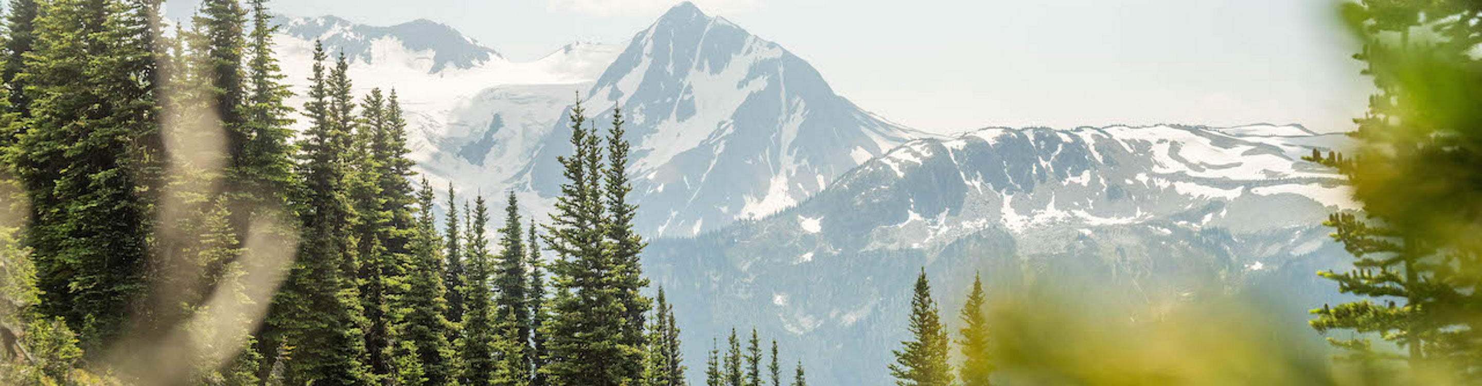 Whistler Summer 2021