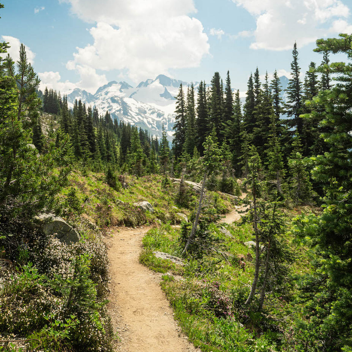 Whistler Summer 2021