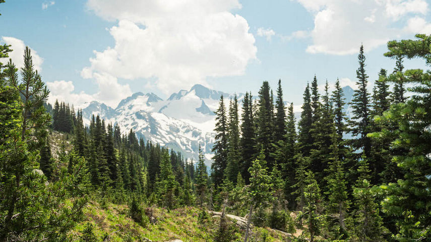 Whistler Summer 2021