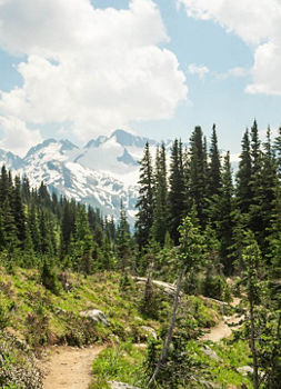 Whistler Summer 2021
