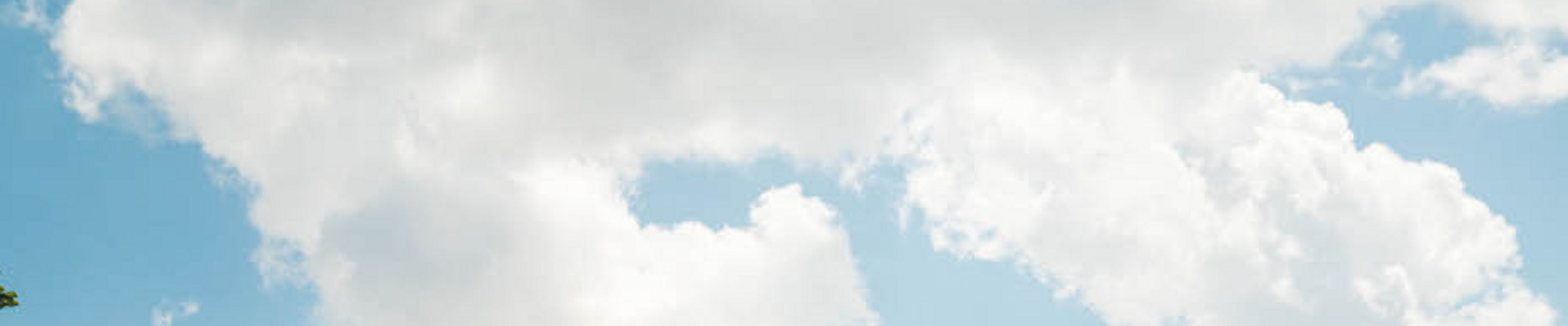 Whistler Summer 2021