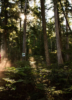 Hiker with Red Backback Traverses Through Deep Woods at Whistler Blackcomb