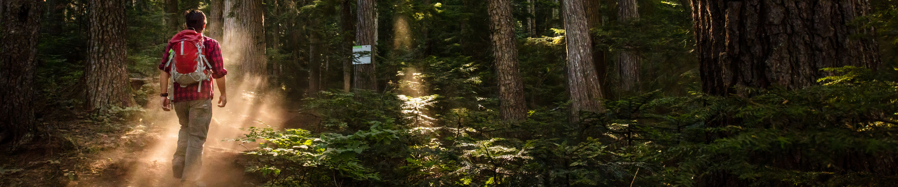 Hiker with Red Backback Traverses Through Deep Woods at Whistler Blackcomb