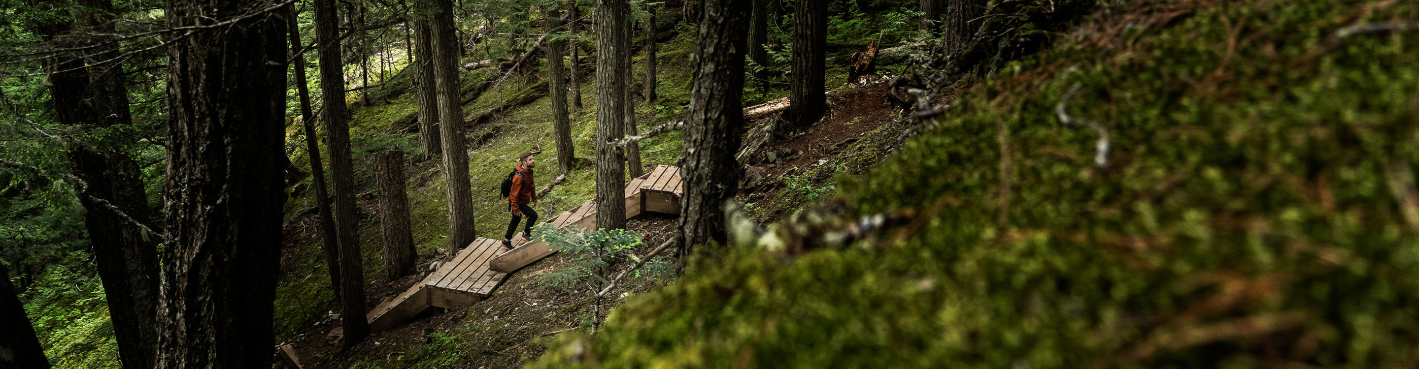 Hiker Walks Through Deep Woods at Whistler Blackcomb During Summer Time