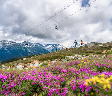Backpackers Hike on Trail Beneath Chairlift at Whistler Blackcomb During Summer