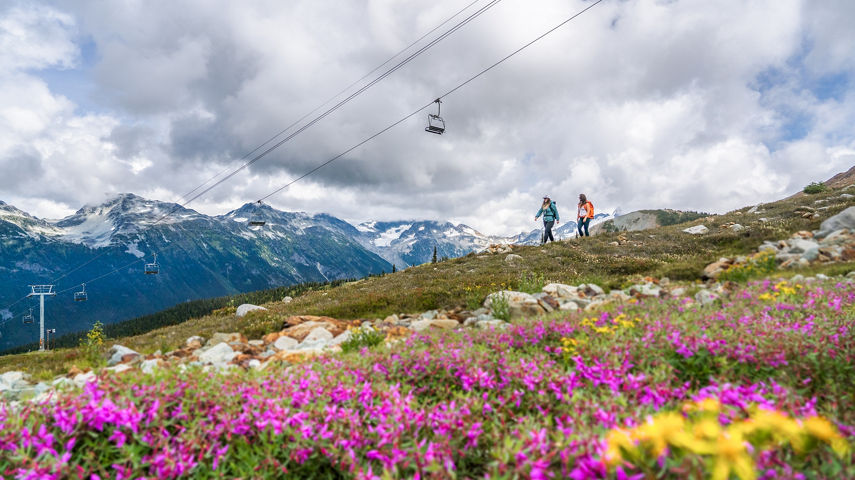 Backpackers Hike on Trail Beneath Chairlift at Whistler Blackcomb During Summer