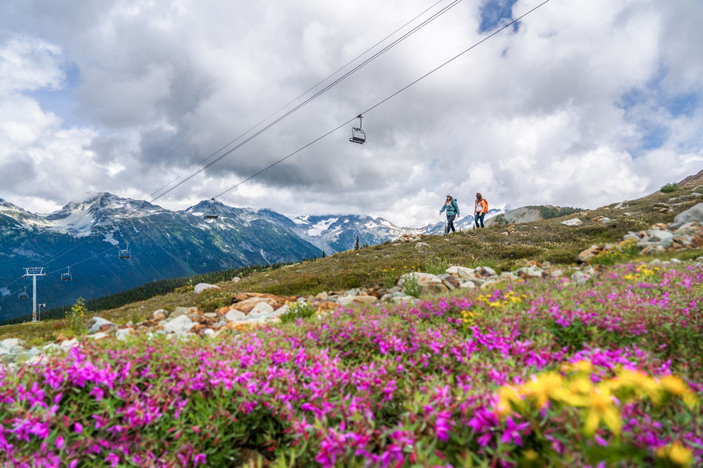 Backpackers Hike on Trail Beneath Chairlift at Whistler Blackcomb During Summer