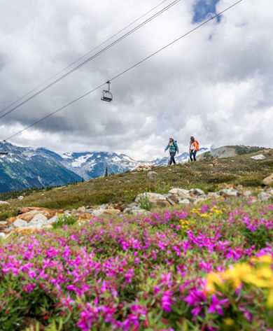 Backpackers Hike on Trail Beneath Chairlift at Whistler Blackcomb During Summer