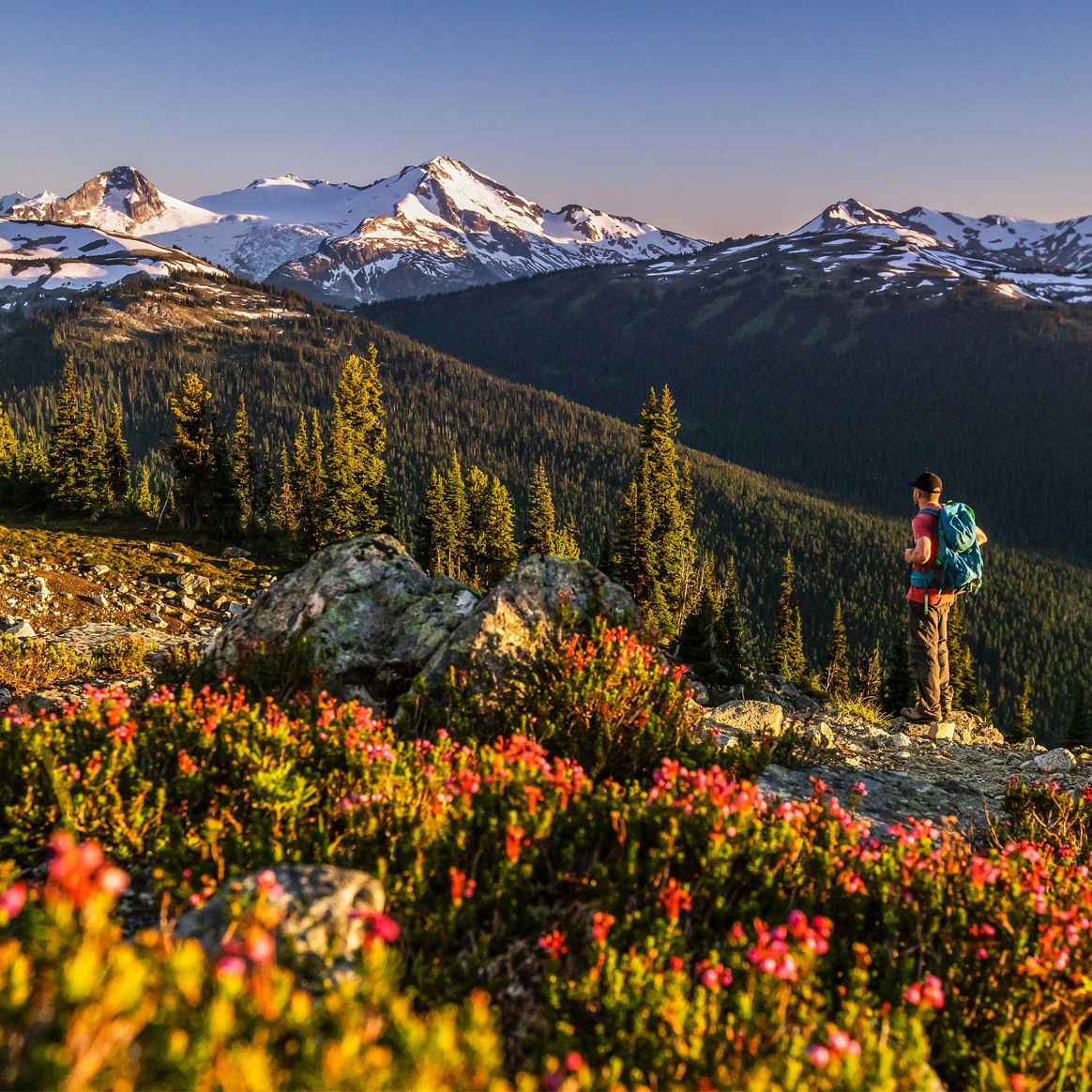 Backpacker Looks at Scenic Horizon at Whistler Blackcomb During Summer