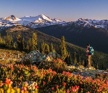 Backpacker Looks at Scenic Horizon at Whistler Blackcomb During Summer