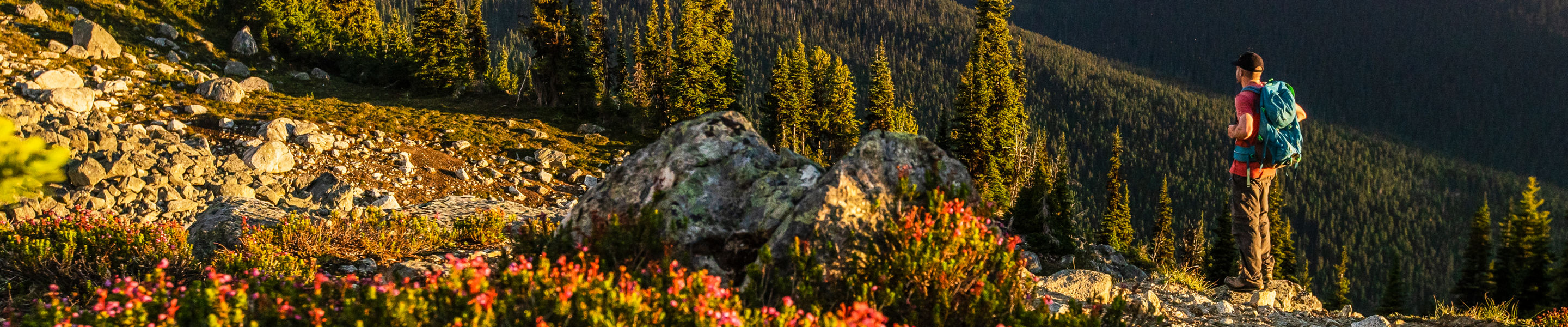 Backpacker Looks at Scenic Horizon at Whistler Blackcomb During Summer