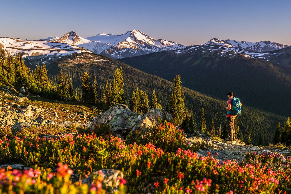 Backpacker Looks at Scenic Horizon at Whistler Blackcomb During Summer