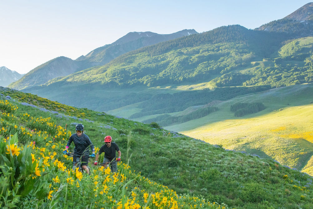 Two bikers pedaling through field of wildflowers in the bike park