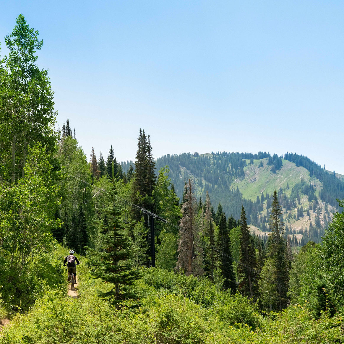 Park City Mountain Scenics