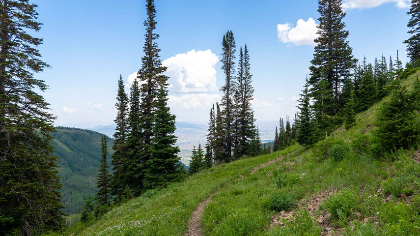 Park City Scenic Summer Photos