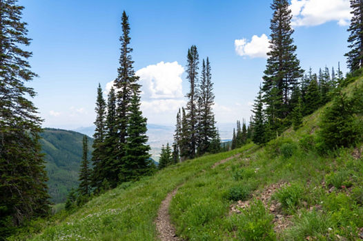 Park City Scenic Summer Photos