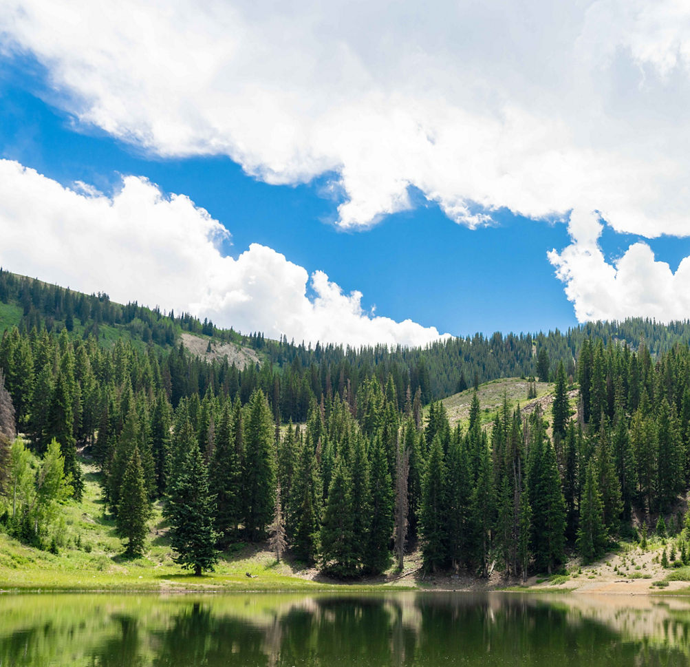 Guide to Fly Fishing Near Park City: Discover the