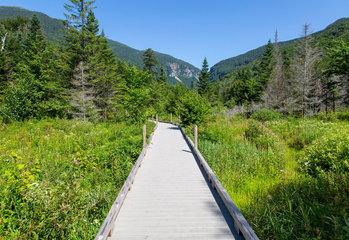 Barnes camp boardwalk at smugglers notch in summer