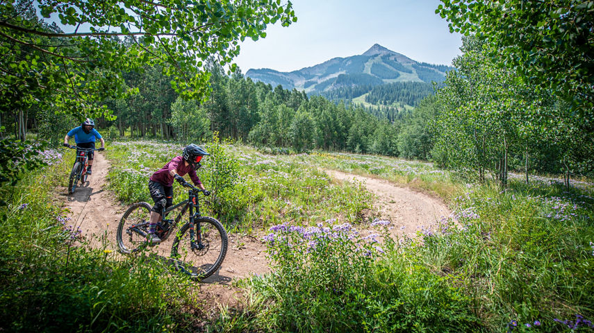 Mountain Biking on Crested Butte Trails