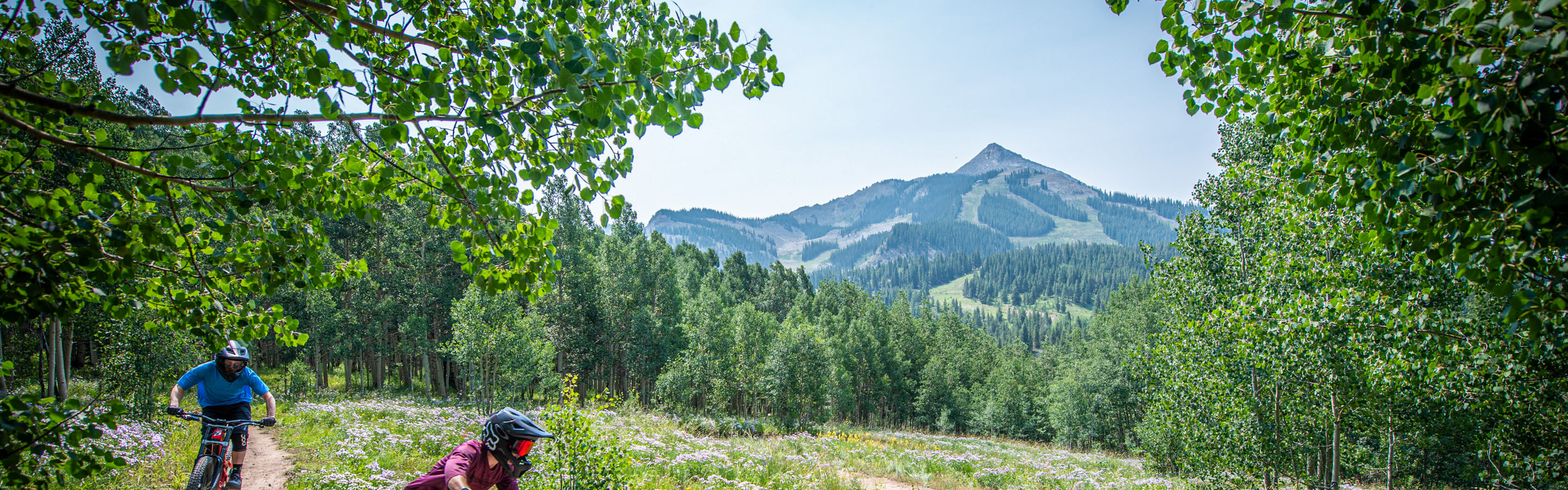 Mountain Biking on Crested Butte Trails