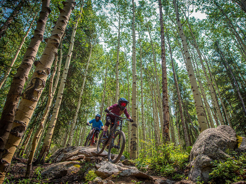 Mountain Biking on Crested Butte Trails