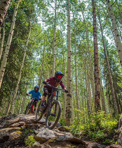 Mountain Biking on Crested Butte Trails