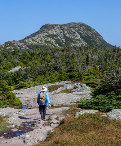 Hiker on Mount Mansfield ridge trail 2