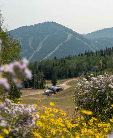 Park City - High Meadow View