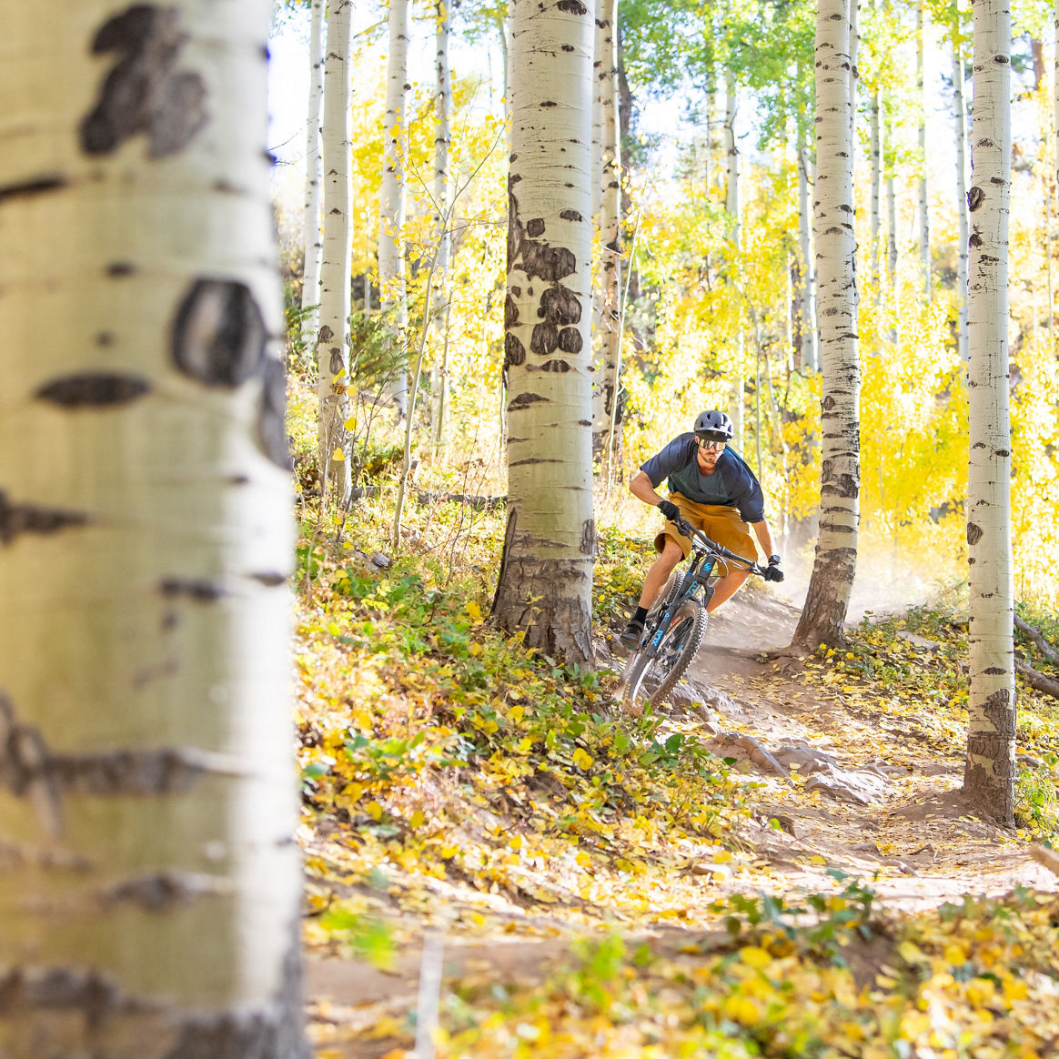 Friends Mountain Biking in Vail, CO