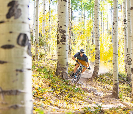 Friends Mountain Biking in Vail, CO