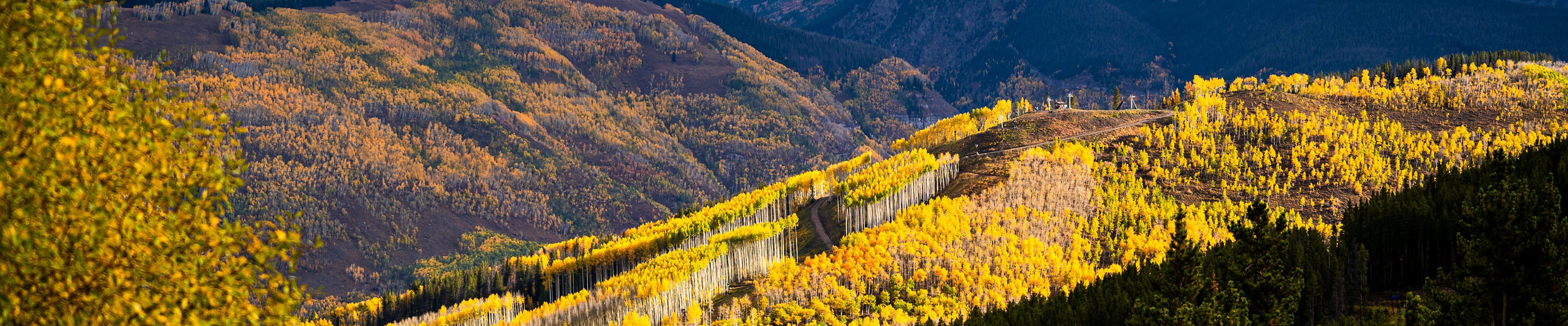 Golden Peak and Gore Range Fall Foliage in Vail Colorado