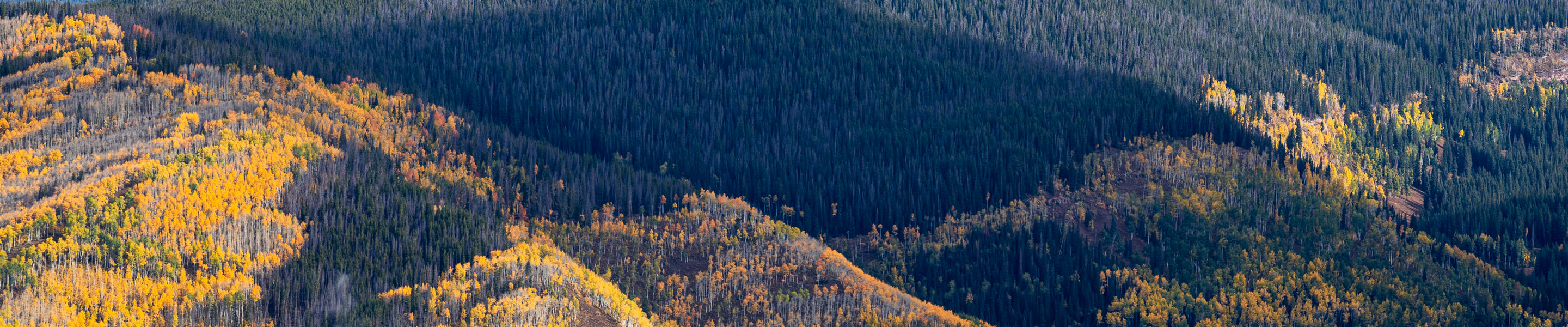 Gore Range Fall Foliage in Vail Colorado