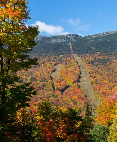 Stowe Gondola peak foliage scenic