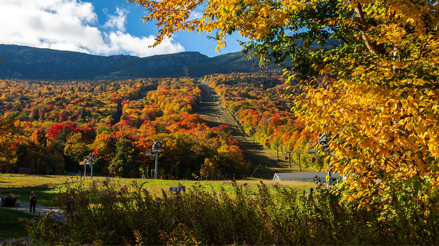 Scenic View at Stowe During Autumn