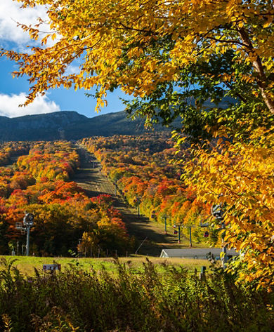 Scenic View at Stowe During Autumn